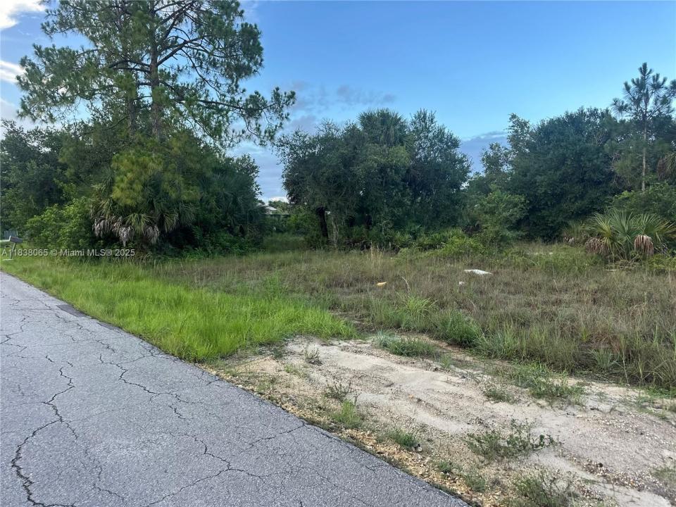 1406 Henry Ave, Lehigh Acres, Florida 33972, Estados Unidos