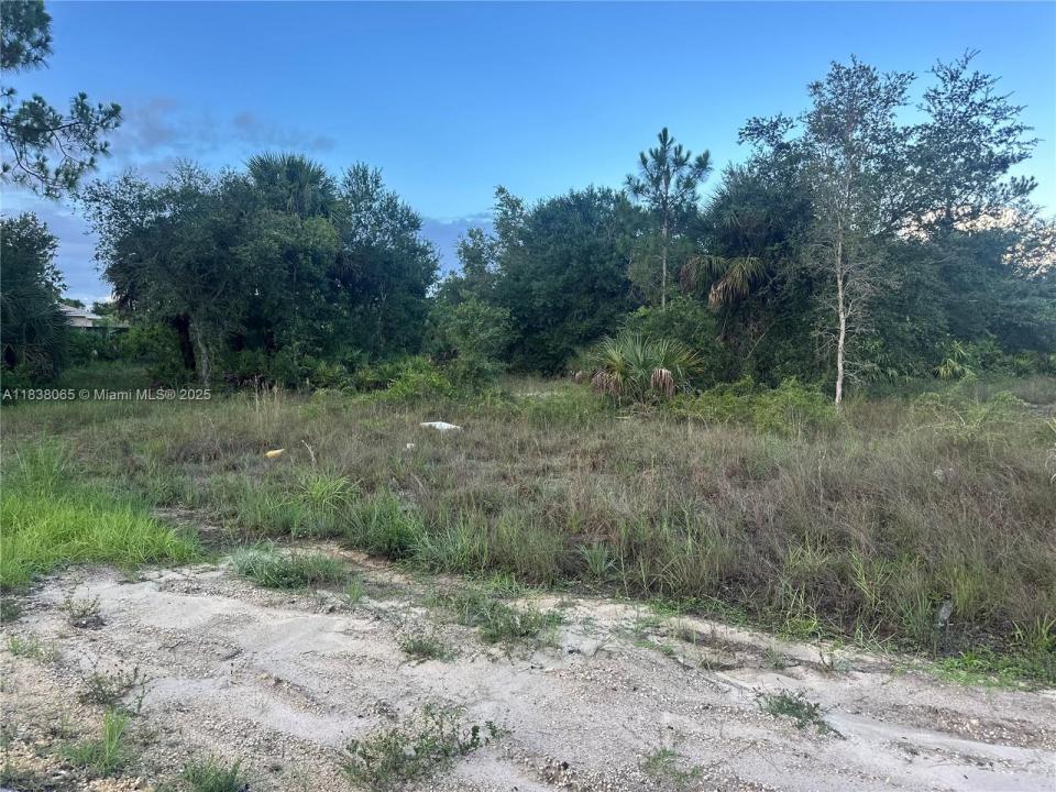 1406 Henry Ave, Lehigh Acres, Florida 33972, Estados Unidos