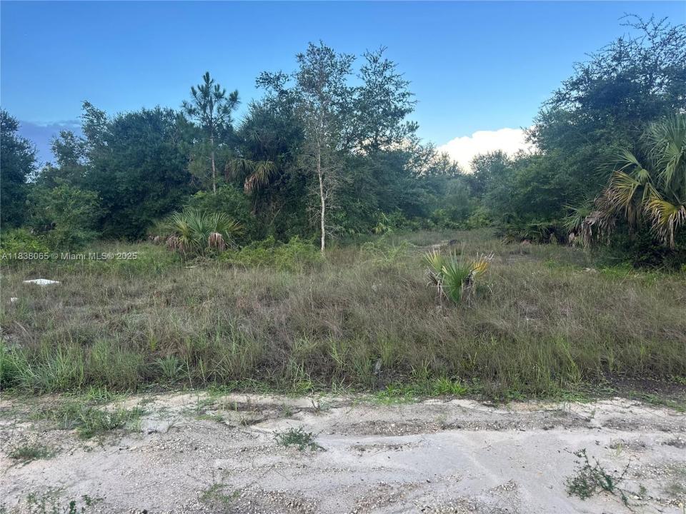 1406 Henry Ave, Lehigh Acres, Florida 33972, Estados Unidos