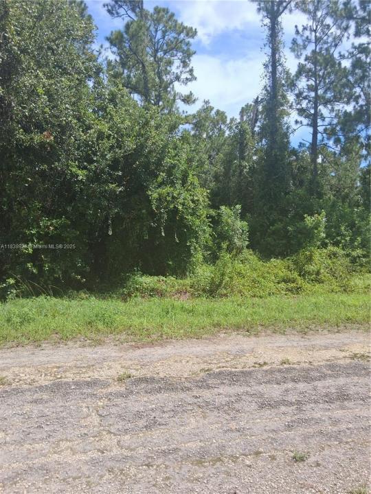 1109 Rambler St, Lehigh Acres, Floride 33974, États-Unis