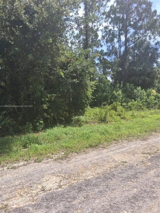 1109 Rambler St, Lehigh Acres, Floride 33974, États-Unis