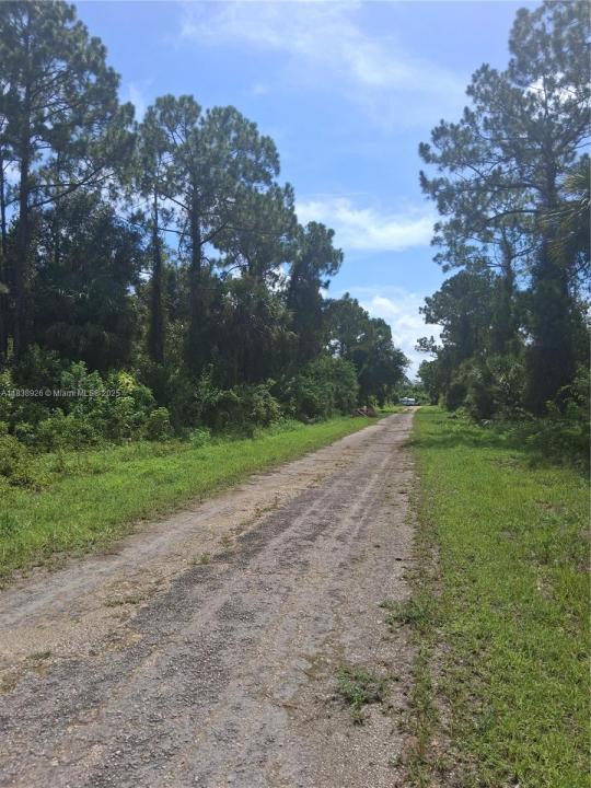 1109 Rambler St, Lehigh Acres, Floride 33974, États-Unis