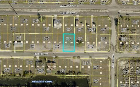 1019 NE 23RD TER, Cape Coral, Florida 33909, USA