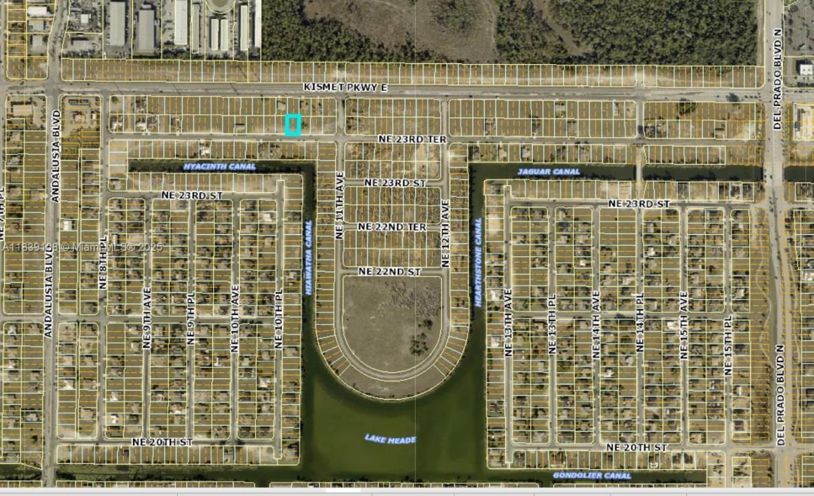 1019 NE 23RD TER, Cape Coral, פלורידה 33909, ארצות הברית של אמריקה 