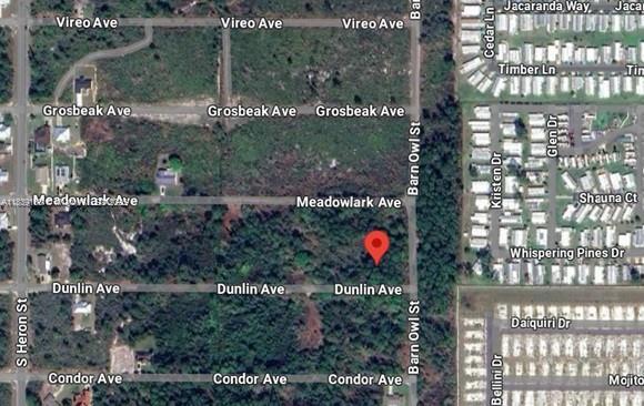 207 DUNLIN AVE, Sebring, Florida 33870, Amerika Birleşik Devletleri