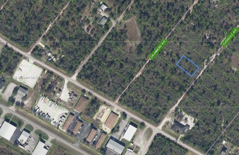 120 EVERSOLE AVE, Lake Placid, Florida 33862, Stati Uniti