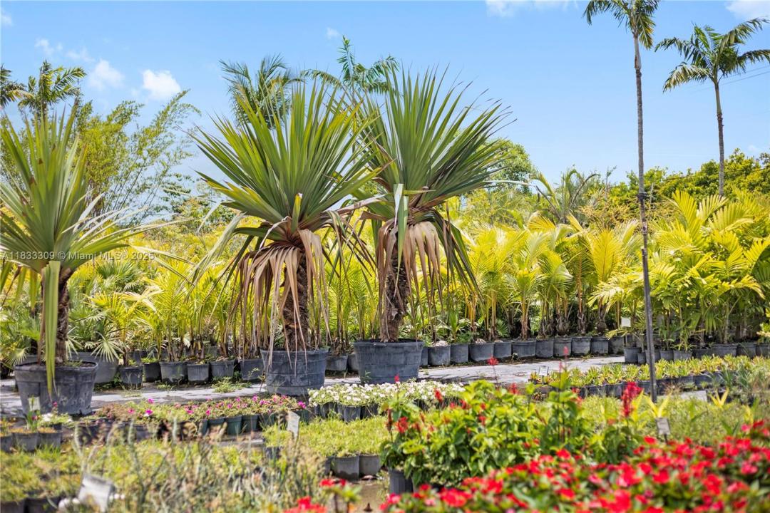 31877 SW 197th Ave, Homestead, Флорида 33030, Соединенные Штаты