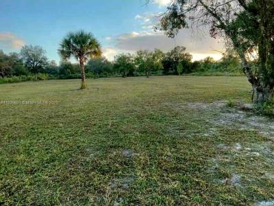 17212 NW 288 st, Okeechobee, Florida 34972, USA