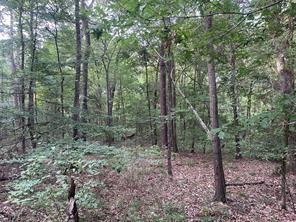 Fm-16, Winona, Texas 75792, Estados Unidos