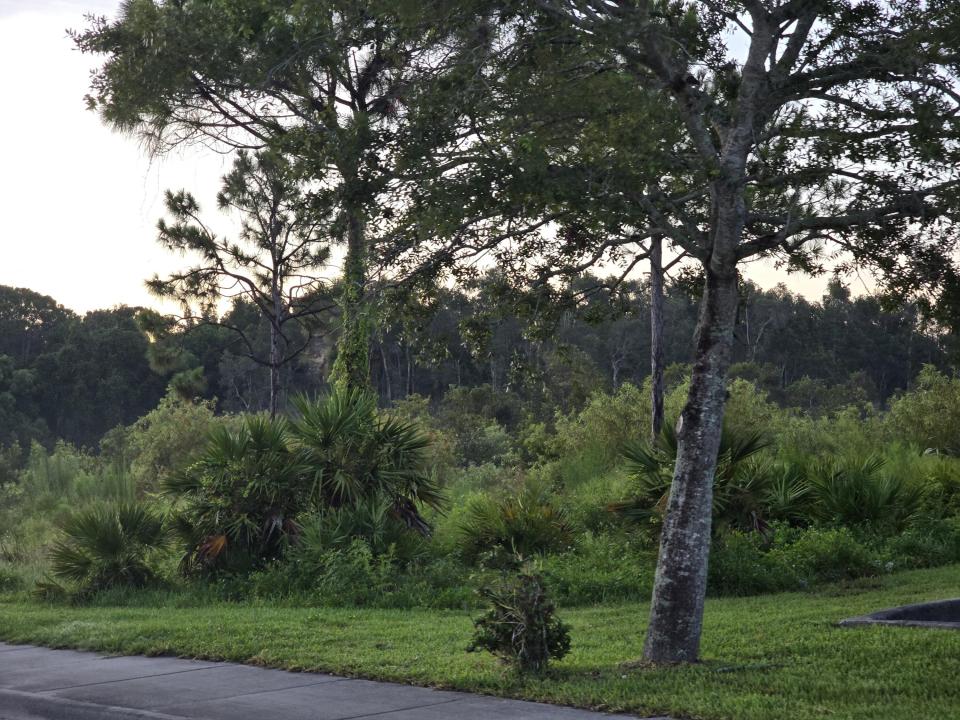 Prima Vista Boulevard, Port Saint Lucie, Florida 34952, Estados Unidos