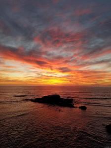 Dolphin Place, La Jolla, 加州 92037, 美國