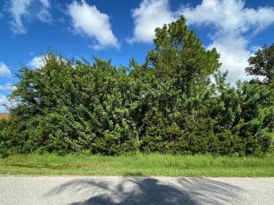 7066 Bargello Street, Englewood, Флорида 34224, Соединенные Штаты