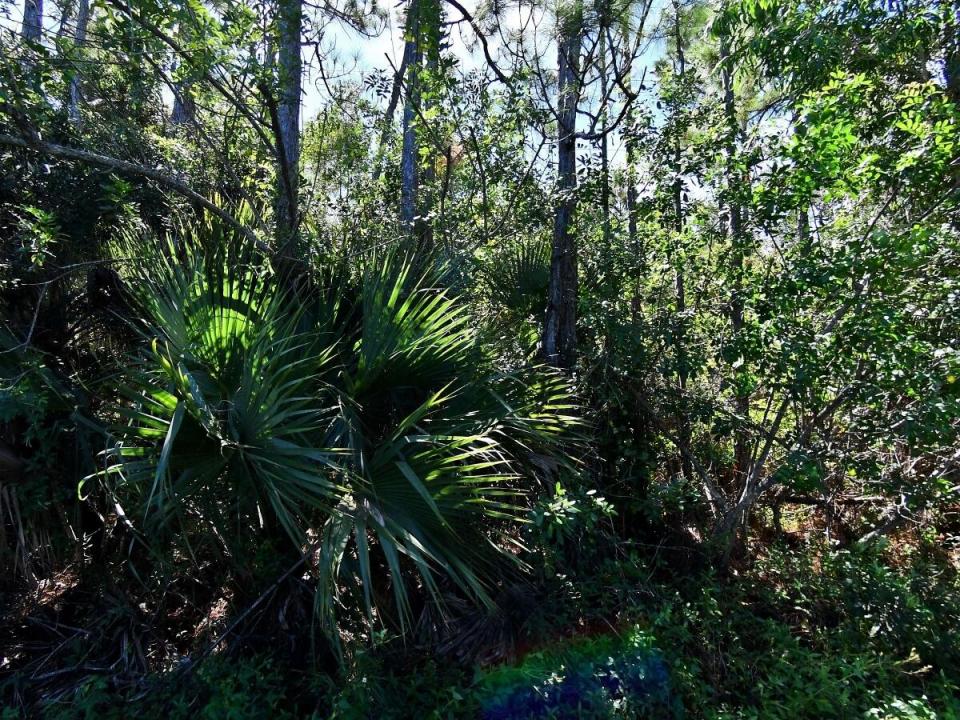 Macquillen Road, Port Saint Lucie, Florida 34952