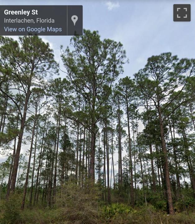 00 Greenley ST, Palatka, Flórida 32148, Estados Unidos