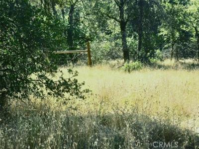 Rices Texas Hill Road, Oregon House, California 95962, Estados Unidos