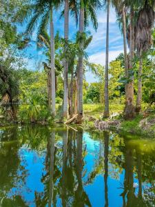 6415 NW 1st Pl, Miami, Florida 33150, USA