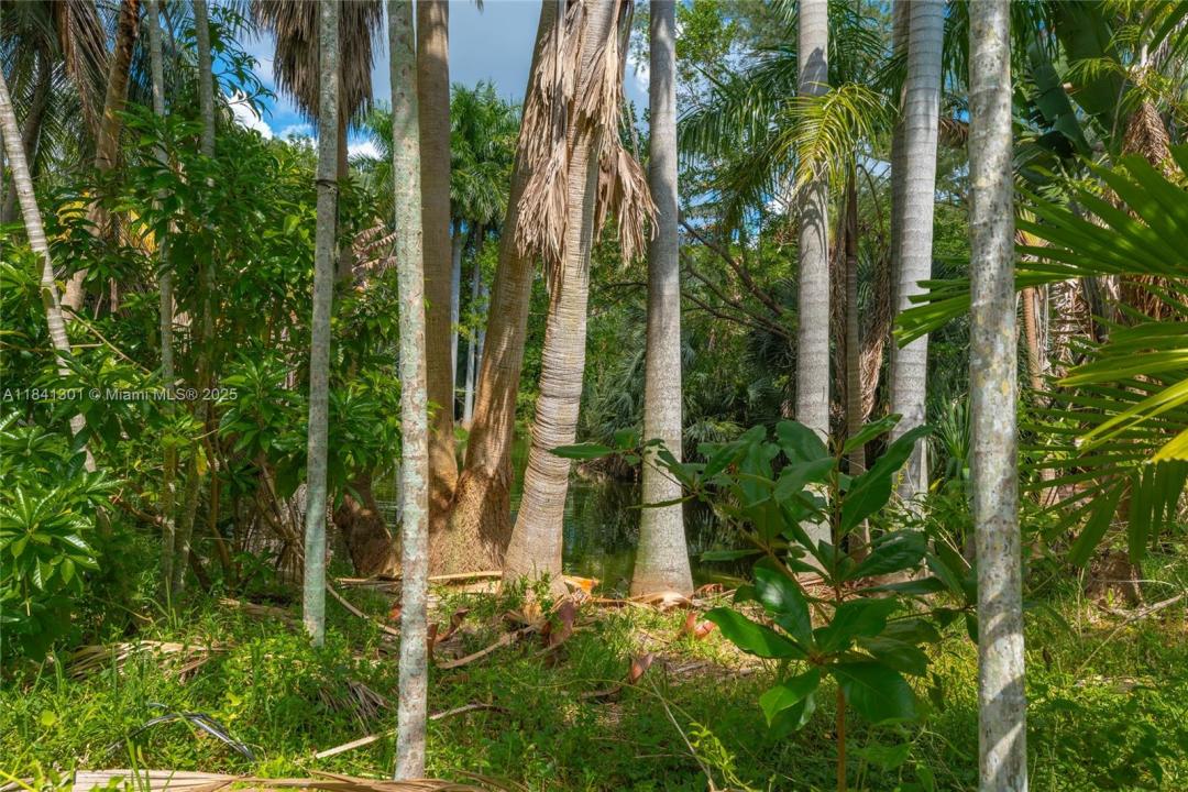 6415 NW 1st Pl, Miami, Florida 33150