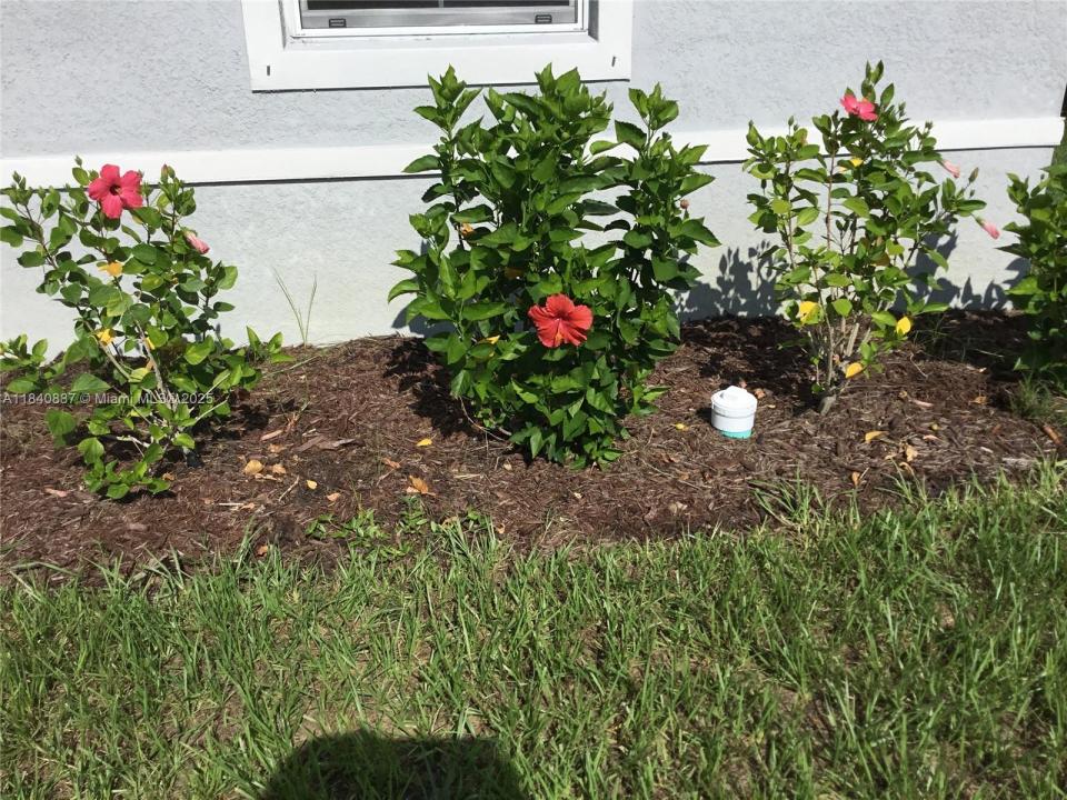 1320 NE 17th ave 1320, Cape Coral, פלורידה 33909, ארצות הברית של אמריקה 