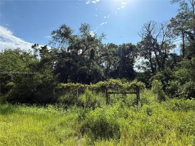 865 N JINETE ST, Clewiston, Florida 33440, USA