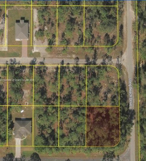 300 Ludlow Ave, Lehigh Acres, 佛罗里达州 33972, 美国