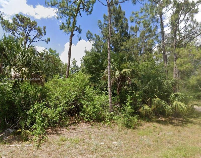 300 Ludlow Ave, Lehigh Acres, 佛罗里达州 33972, 美国