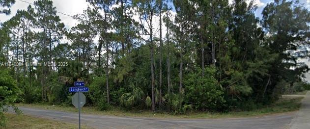 300 Ludlow Ave, Lehigh Acres, Florida 33972, USA
