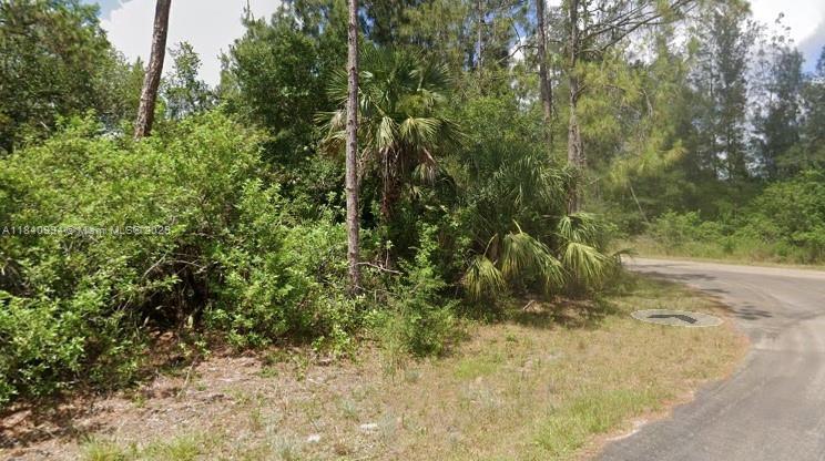300 Ludlow Ave, Lehigh Acres, 佛罗里达州 33972, 美国
