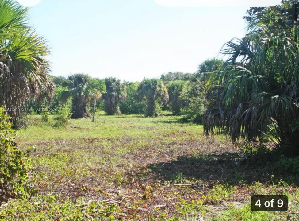 1038 S 37th Street, Fort Pierce, フロリダ 34947, アメリカ合衆国
