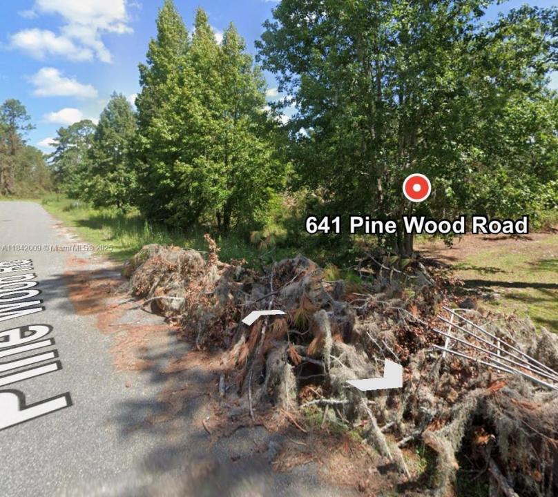641 PINE WOOD RD, Other City - In The State Of Florida, 佛罗里达州 32052, 美国