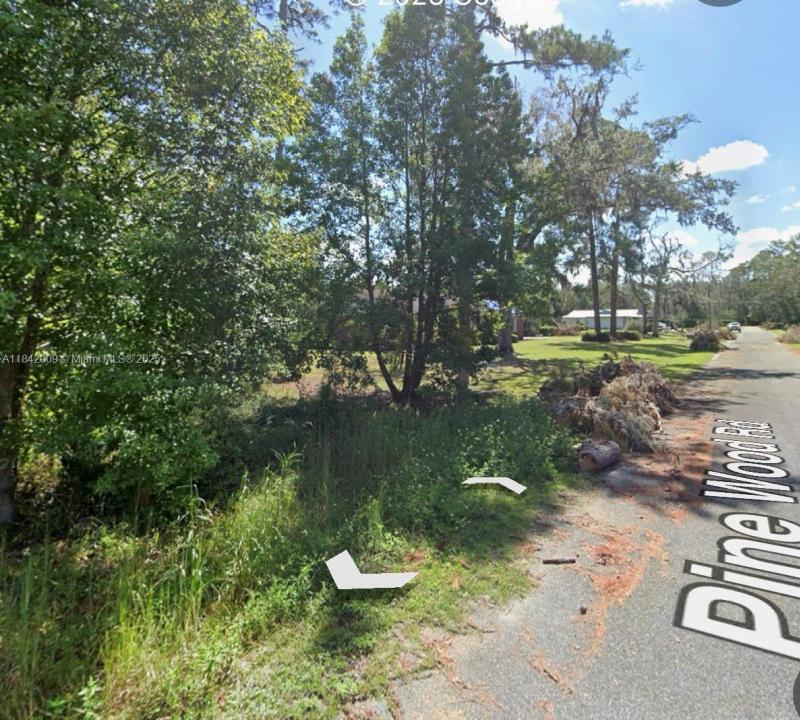 641 PINE WOOD RD, Other City - In The State Of Florida, 佛罗里达州 32052, 美国