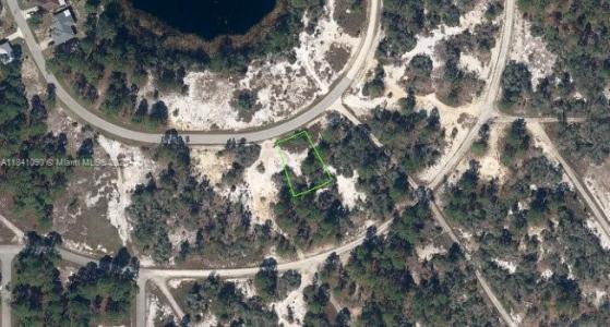 650 Lake Tina Drive, Lake Placid, Florida 33852, USA