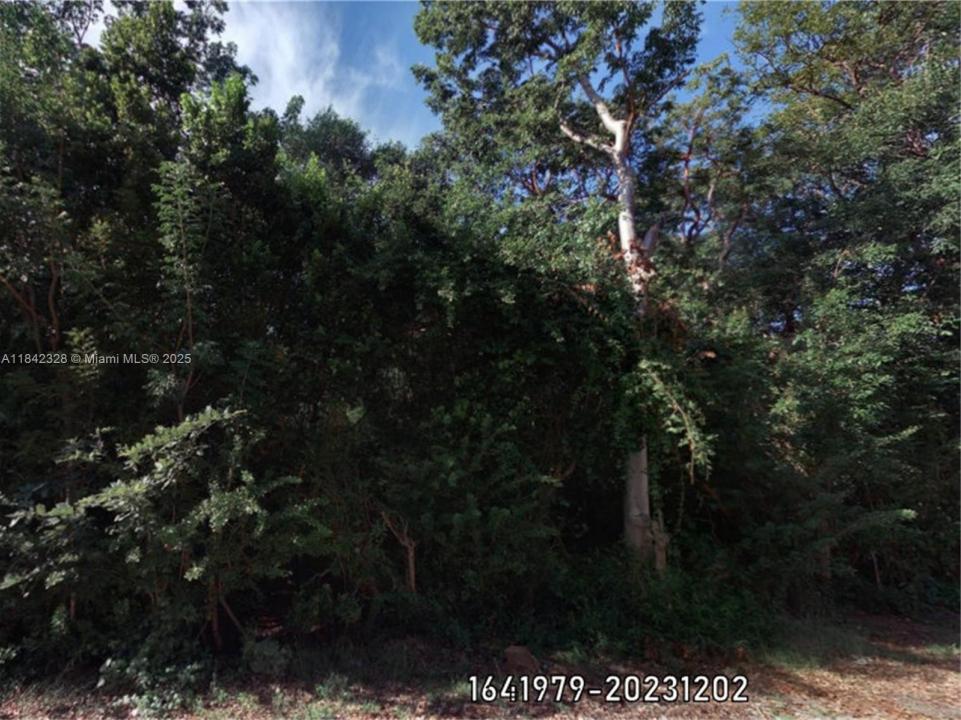 00 Poinsetta, Florida 33037, Stati Uniti