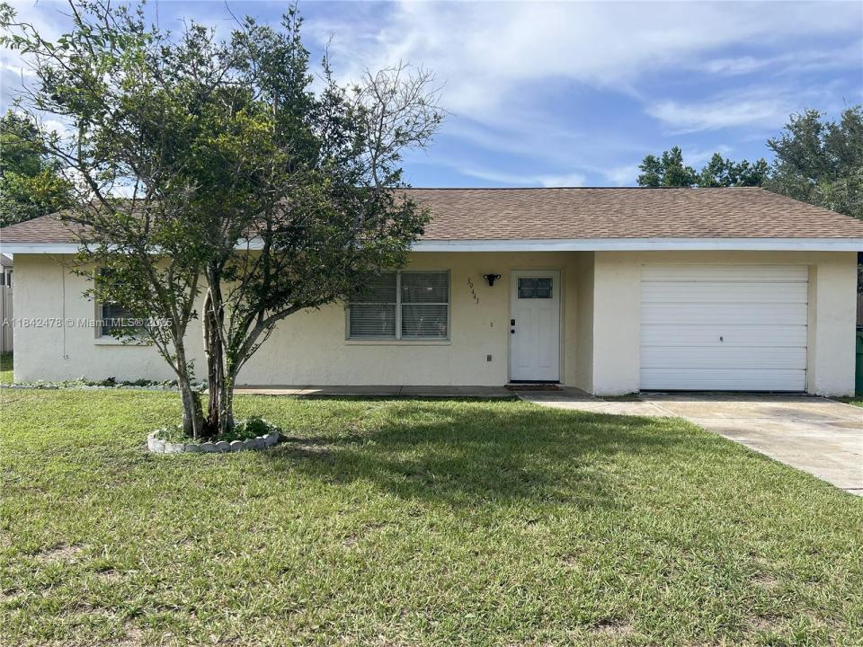 39443 8th Ave, Zephyrhills, Florida 33542, Estados Unidos