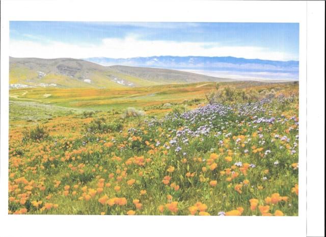 Cooperstown Rd, California Valley, Kalifornien 93453, USA