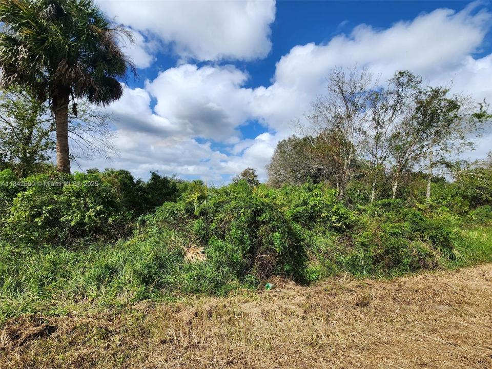 760 N Brida St, Clewiston, Florida 33440, Estados Unidos
