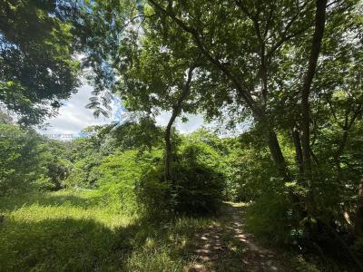 835 NE 149 ST, North Miami, Florida 33161
