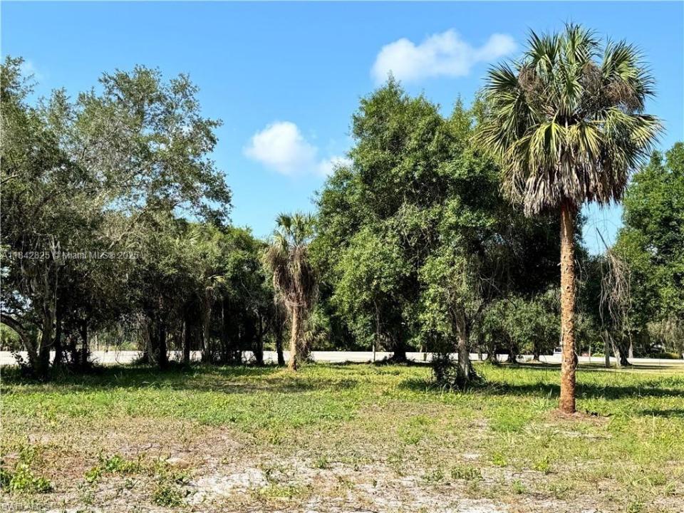0 Magnolia Ave, La Belle, Floride 33935, États-Unis