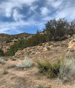 Back Canyon Rd, Caliente, Kalifornien 93518, USA
