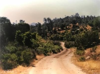 Back Canyon Rd, Caliente, Kalifornien 93518, USA