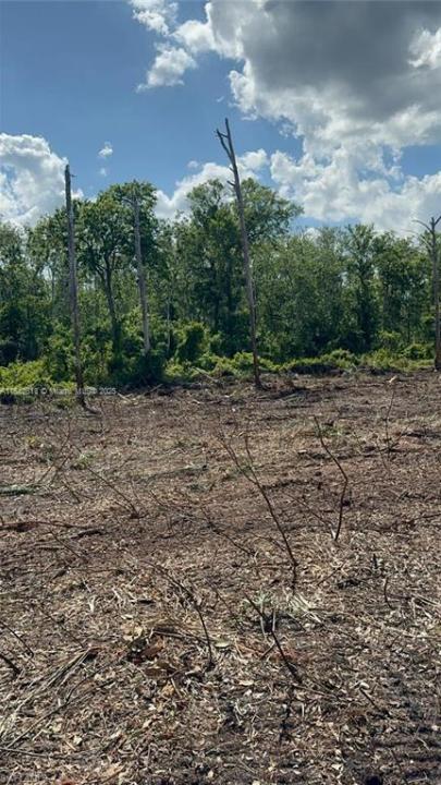 1 Catamount Rd, Other City - In The State Of Florida, Florida 33975