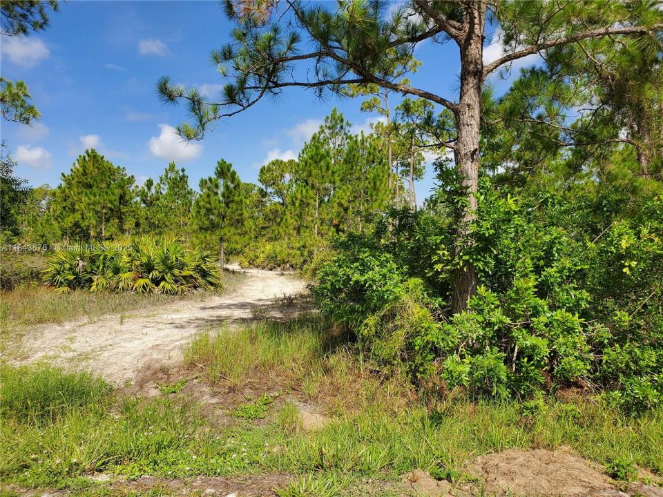 1201 Thompson Ave, Lehigh Acres, Floride 33972, États-Unis