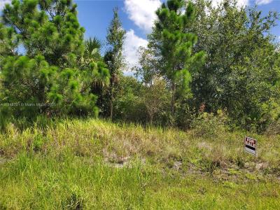 2706 55 ST W, Lehigh Acres, Florida 33971, USA