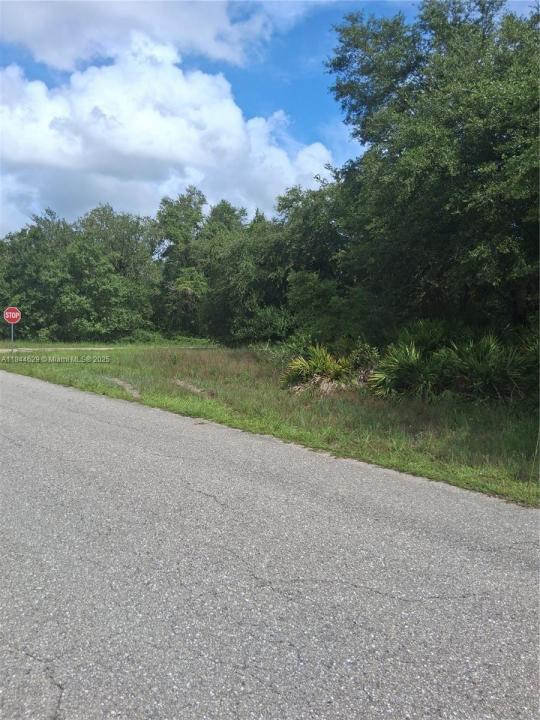 516 Scott Ave, Lehigh Acres, 佛羅里達州 33972, 美國