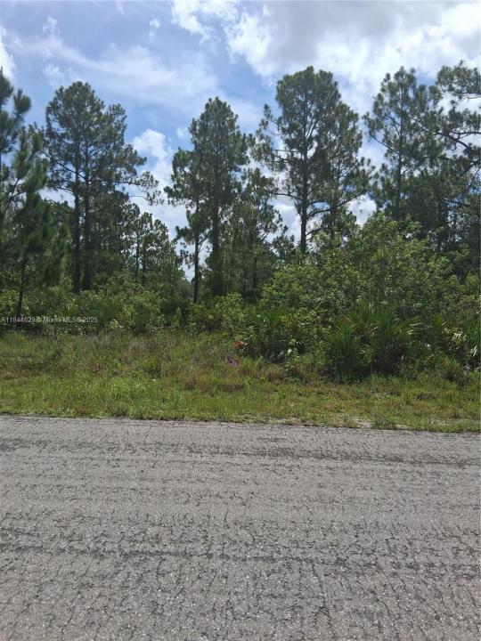516 Scott Ave, Lehigh Acres, 佛羅里達州 33972, 美國