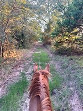 County Road 3226, Lone Oak, Texas 75453