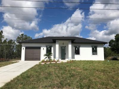 919 Glenn Ave, Lehigh Acres, Florida 33972, USA