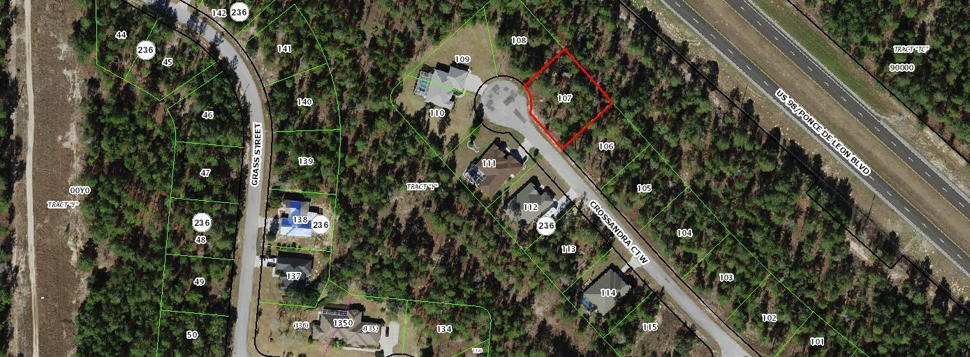 11 Crossandra Court W, Homosassa, Florida 34446, Estados Unidos
