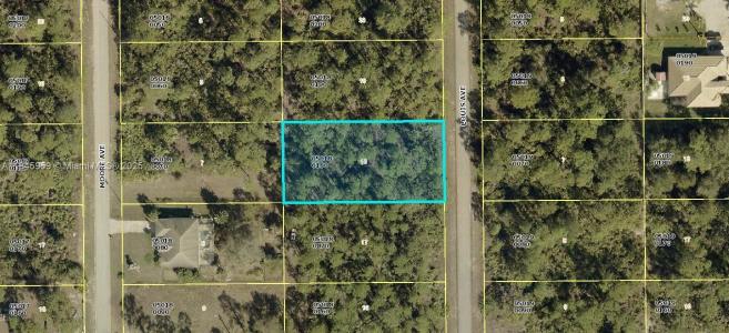1311 louis, Lehigh Acres, Florida 33972, USA