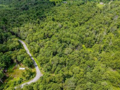 Leins Road, Fallsburg, New York 12733, Stati Uniti