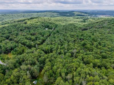Leins Road, Fallsburg, New York 12733, Stati Uniti